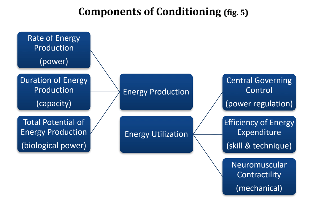 components of conditioning figure 5