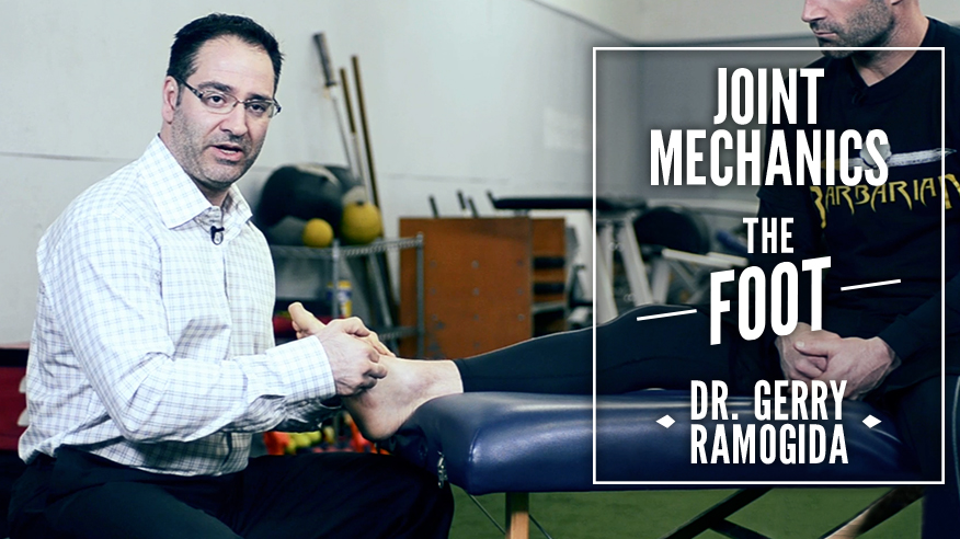 Joint Mechanics: The Foot