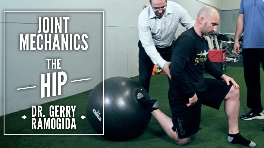 Joint Mechanics: The Hip