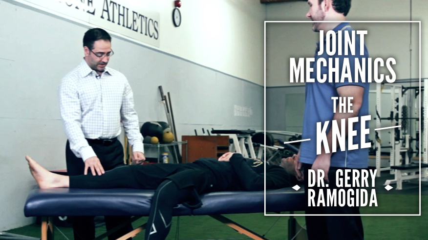 Joint Mechanics: The Knee