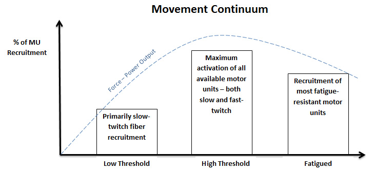 Movement Continuum