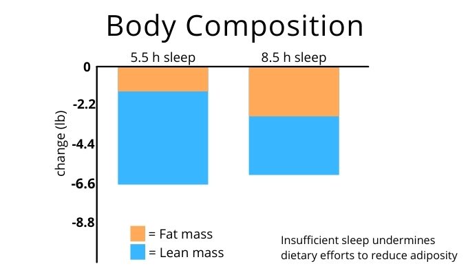 sleep affects changes in body composition