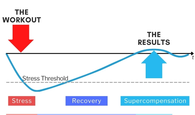 cross the stress threshold and recovery lead to results